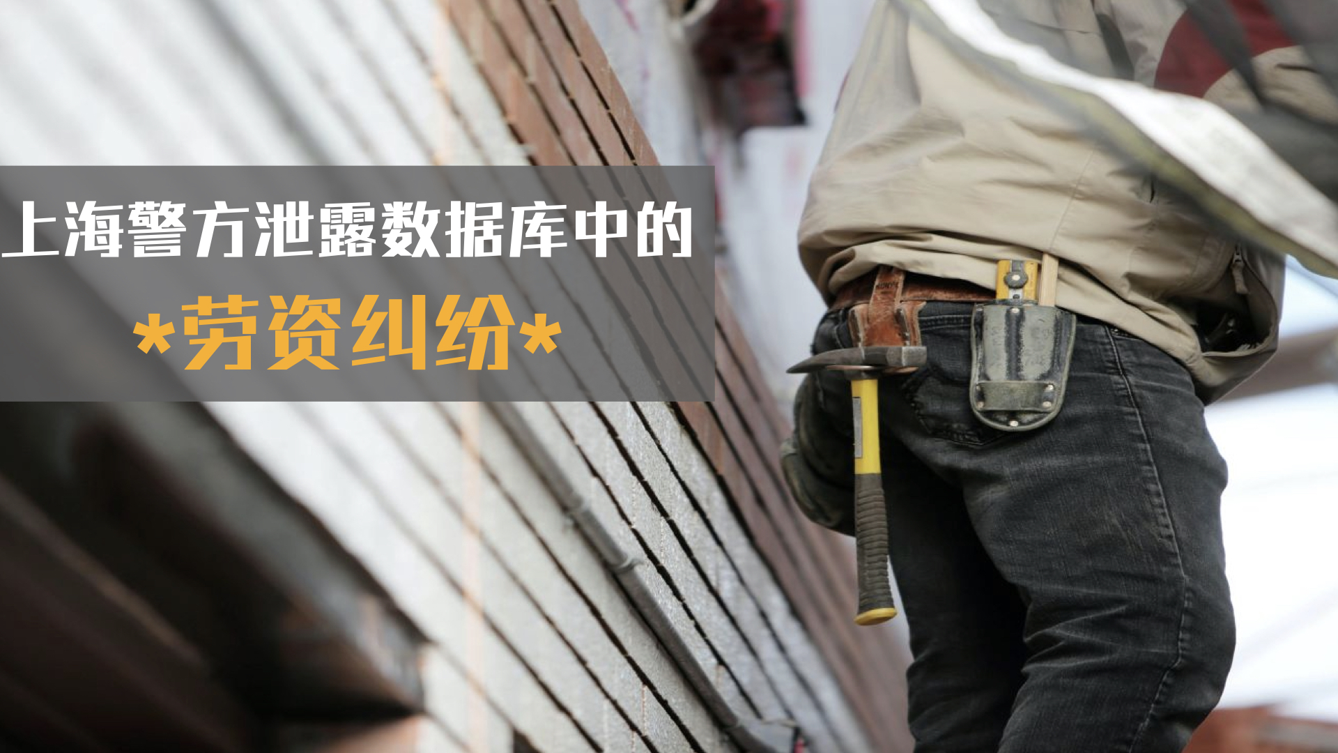 上海警方泄露数据中的劳动案件分析｜数据研究